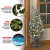 National Tree Company 4 ft. Pre-Lit Artificial Christmas Entrance Tree, Snowy Morgan Spruce with Twinkly LED Lights, Plug in Image 4