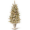 National Tree Company 4 ft. Pre-Lit Artificial Christmas Entrance Tree, Snowy Sheffield Spruce with Twinkly LED Lights, Plug in Image 1