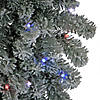 National Tree Company 4 ft. Pre-Lit Artificial Christmas Entrance Tree, Snowy Sheffield Spruce with Twinkly LED Lights, Plug in Image 2