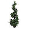 National Tree Company 48" Boxwood Spiral Topiary in Black Plastic Nursery Pot Image 1