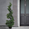 National Tree Company 48" Boxwood Spiral Topiary in Black Plastic Nursery Pot Image 1