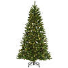 National Tree Company 6.5 ft. Pre-Lit Artificial Christmas Tree, Peyton Spruce, Green, White Lights, Includes Stand Image 1