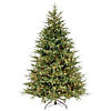 National Tree Company 7.5 ft. Frasier Grande Tree with Clear Lights Image 1