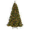 National Tree Company 7.5 ft. North Valley&#174; Spruce Tree with Clear Lights Image 1
