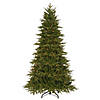 National Tree Company 7.5 ft. Northern Frasier Fir Tree with Clear Lights Image 1