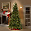 National Tree Company 7.5 ft. Northern Frasier Fir Tree with Clear Lights Image 1