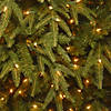 National Tree Company 7.5 ft. Northern Frasier Fir Tree with Clear Lights Image 2