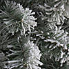 National Tree Company 7.5 ft. Snowy North ValleySpruce Tree Image 2