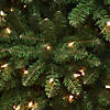 National Tree Company 7 ft. Kingswood&#174; Fir Pencil Tree with Clear Lights Image 2