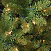 National Tree Company 7 ft. Kingswood&#174; Fir Pencil Tree with Clear Lights Image 3