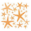 Natural Starfish Assortment - 30 Pc. Image 1