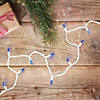 Northlight 100 Blue LED Mini Christmas Lights - 33 ft White Wire Image 1