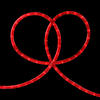 Northlight 100' Red Incandescent Christmas Rope Lights Image 2