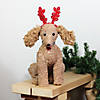 Northlight - 14.5" Plush Dog with Red Antlers Christmas Decoration Image 2
