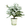 Northlight 20" Flocked White and Green Artificial Pine Tree with a Pot Image 1