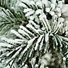 Northlight 20" Flocked White and Green Artificial Pine Tree with a Pot Image 2