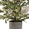 Northlight 24" Green and White Berry Christmas Potted Artificial Plant with Glitter Frost Image 2