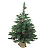 Northlight 3' Potted Royal Oregon Pine Burlap Base Full Artificial Christmas Tree - Unlit Image 1