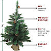 Northlight 3' Potted Royal Oregon Pine Burlap Base Full Artificial Christmas Tree - Unlit Image 2