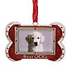 Northlight 3" Red and Silver-Plated Best Dog Bone Christmas Ornament with European Crystals Image 1