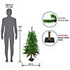 Northlight 4ft Alpine Artificial Christmas Tree  Unlit Image 2