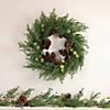Northlight 5' x 10" Pine and Blueberry Christmas Garland with Pinecones  Unlit Image 1