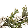 Northlight 5' x 10" White Berry and Frosted Pine Christmas Garland  Unlit Image 2