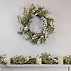 Northlight 5' x 8" Artificial Christmas Garland with with Frosted Foliage and Pine Cones  Unlit Image 1