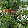 Northlight 50' x 12" Pre-Lit Dakota Pine Artificial Christmas Garland - Warm White LED Lights Image 1