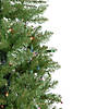 Northlight 6.5' Pre-Lit Silver Lake Fir Pencil Artificial Christmas Tree  Multi Lights Image 3