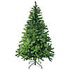 Northlight 6' Colorado Spruce 2-Tone Artificial Christmas Tree  Unlit Image 1