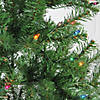 Northlight 7' Pre-Lit Medium Vail Spruce Artificial Christmas Tree - Multi Lights Image 1
