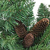 Northlight 9' x 10" Dakota Red Pine Artificial Christmas Garland - Unlit Image 1