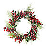 Northlight Frosted Green Leaves and Red Berries Artificial Christmas Wreath - 18-Inch  Unlit Image 1