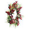 Northlight Frosted Green Leaves and Red Berries Artificial Christmas Wreath - 18-Inch  Unlit Image 1