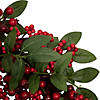 Northlight Lush Berry and Leaf Artificial Christmas Wreath  18-Inch  Unlit Image 2