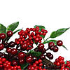 Northlight Red Berries and Two-Tone Green Leaves Artificial Christmas Wreath - 18-Inch  Unlit Image 3