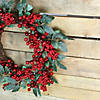 Northlight Red Berries and Two-Tone Green Leaves Artificial Christmas Wreath - 18-Inch  Unlit Image 4