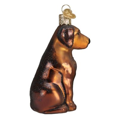 Old World Christmas 12387 Glass Blown Chocolate Labrador Ornament Image 1
