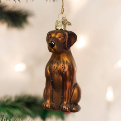 Old World Christmas 12387 Glass Blown Chocolate Labrador Ornament Image 3