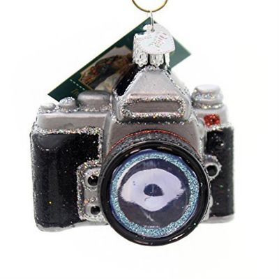 Old World Christmas 32227 Glass Blown Camera Ornament Image 1