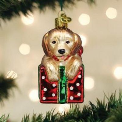 Old World Christmas Golden Puppy Surprise Glass Ornament FREE BOX 12628 Image 3