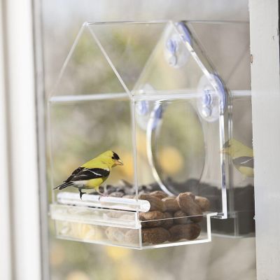OnDisplay Window Mounted Clear Acrylic Bird House Image 1