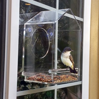 OnDisplay Window Mounted Clear Acrylic Bird House Image 1
