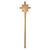 Pageant Star Prop Staff Image 1