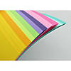 Paper Accents Cardstock Variety Pack 12x12 Rainbow 65lb Candy Duo 250pc Image 1