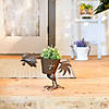 Pecking Rooster Planter 18X6X13" Image 3