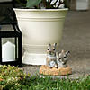 Peek-A-Boo Garden Bunnies D&#233;cor 6.5&#8221;X5.5&#8221;X6&#8221; Image 1