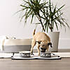 Pet Bowl Dog Show Gray Small 4.25Dx2H (Set Of 2) Image 2
