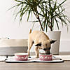 Pet Bowl Dog Show Rose Small 4.25Dx2H (Set Of 2) Image 2